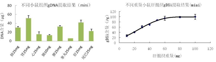 gDNA extraction results from different mouse tissues