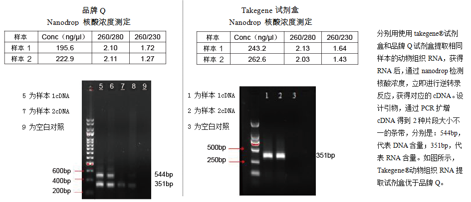 Animal Tissue, Cell Total RNA Extraction Kit specifications